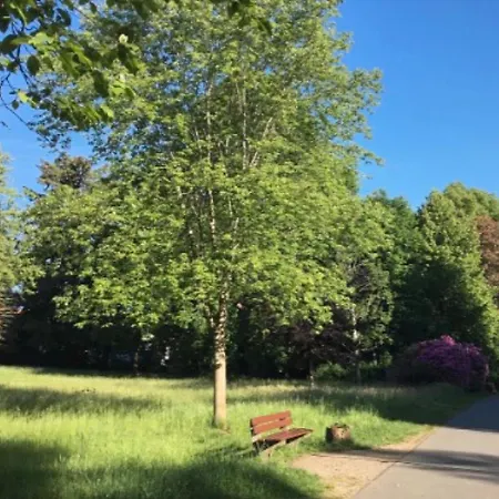 Landesmusikakademie Hessen Dz