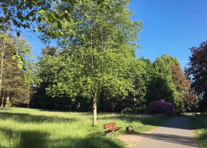 Landesmusikakademie Hessen Dz