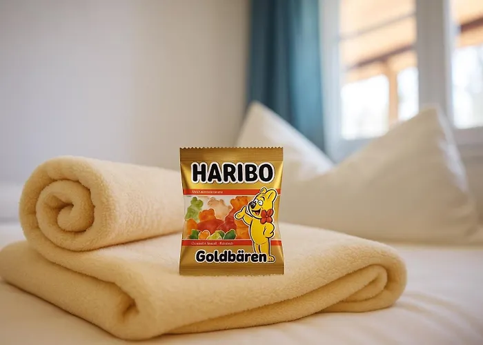 Landesmusikakademie Hessen Dz 3* Schlitz